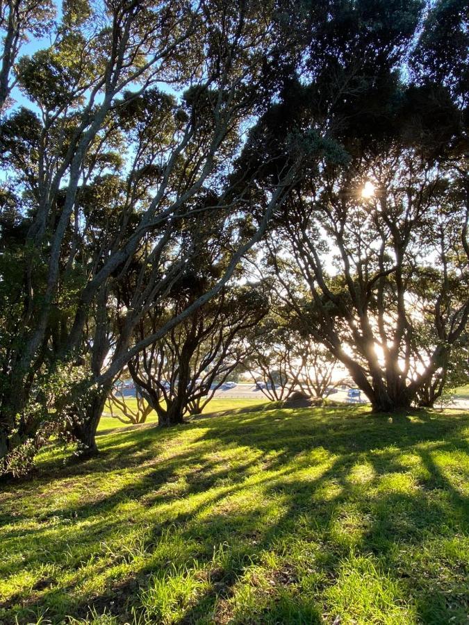 Peaceful Mount Studio Moments To Beach & Downtown Mount Maunganui Exteriör bild